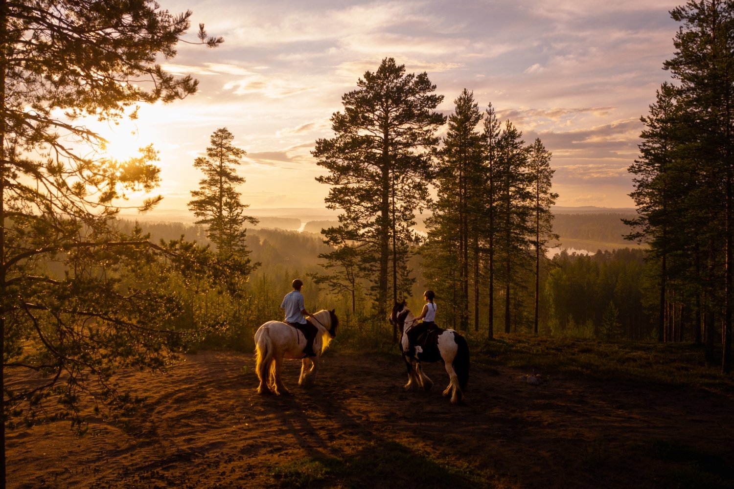 0012_20230802_Horse_Riding_Midnight_Sun_Summer_202