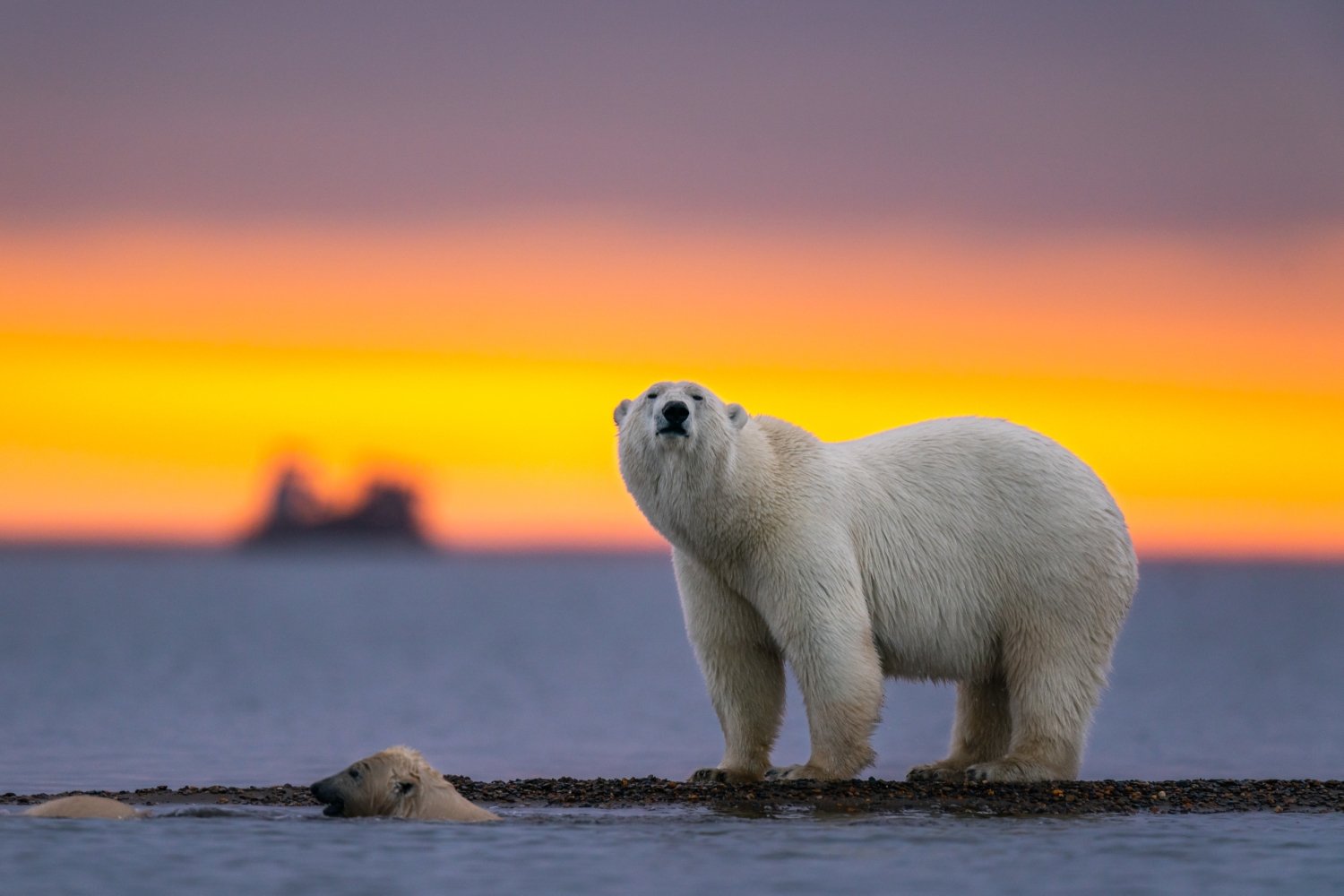 CREATOR: gd-jpeg v1.0 (using IJG JPEG v80), quality = 100