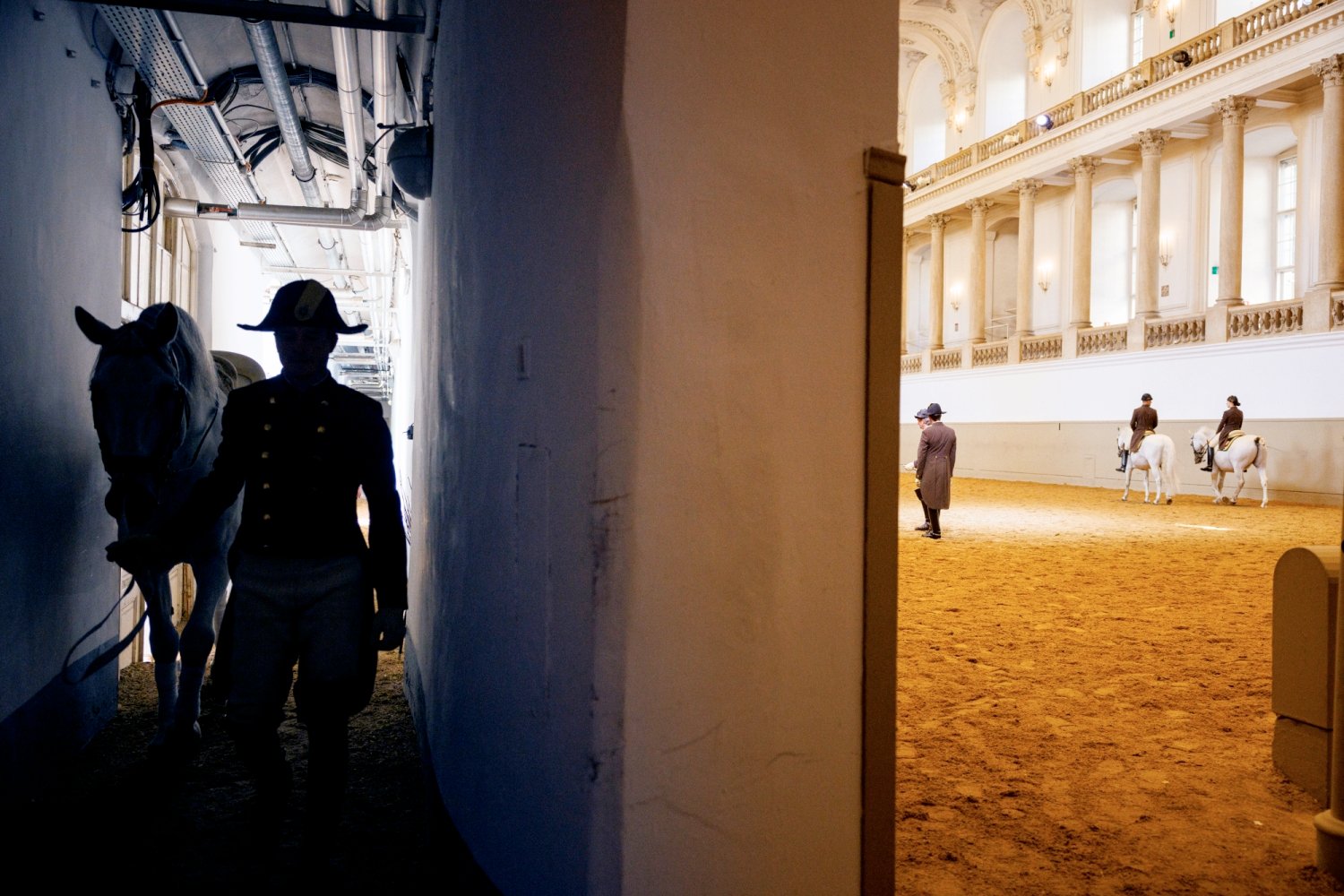 Spanische Hofreitschule, Wien, 2023, Copyright www.peterrigaud.com