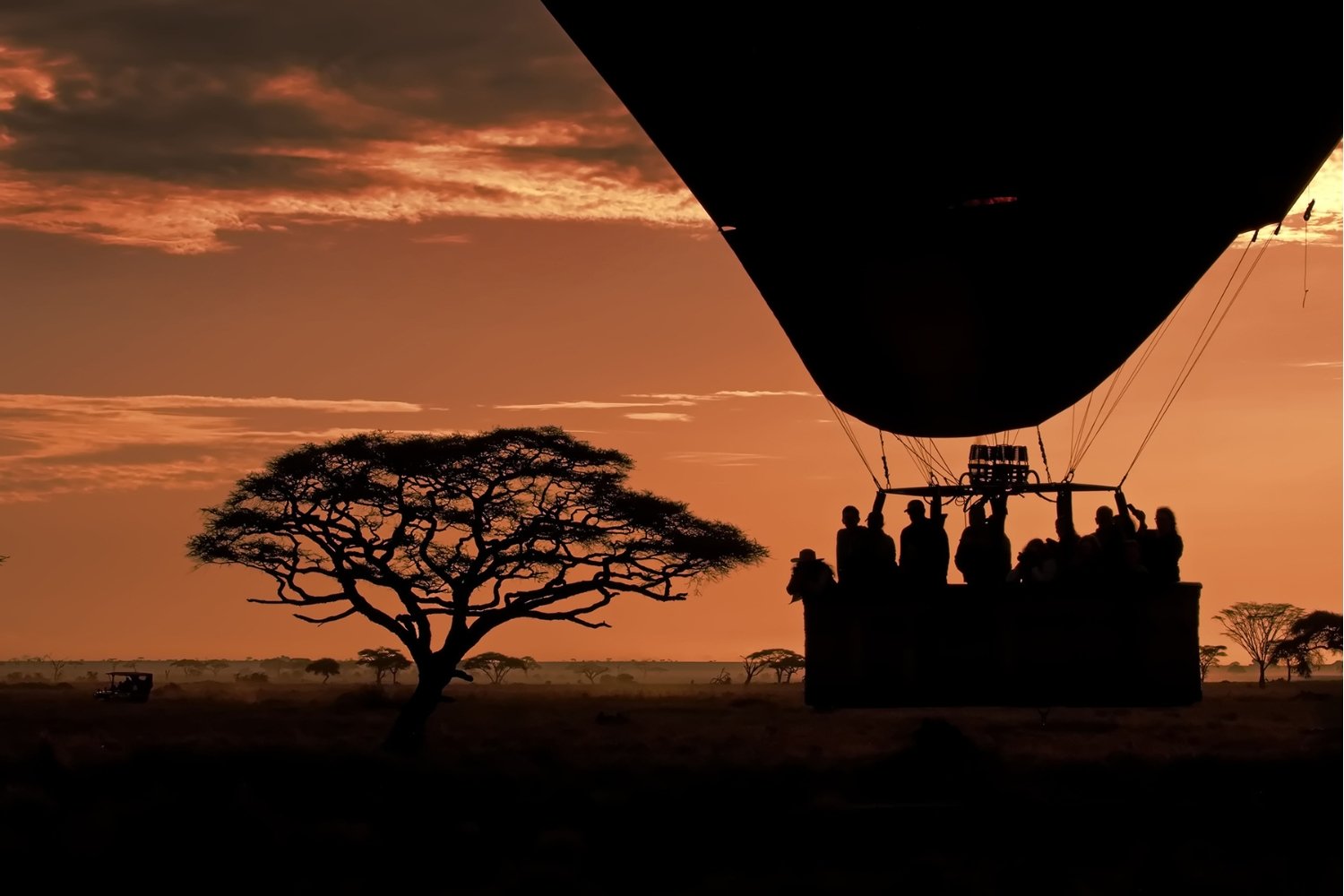 Top Wild and great safaries Balloon_Safari (1)