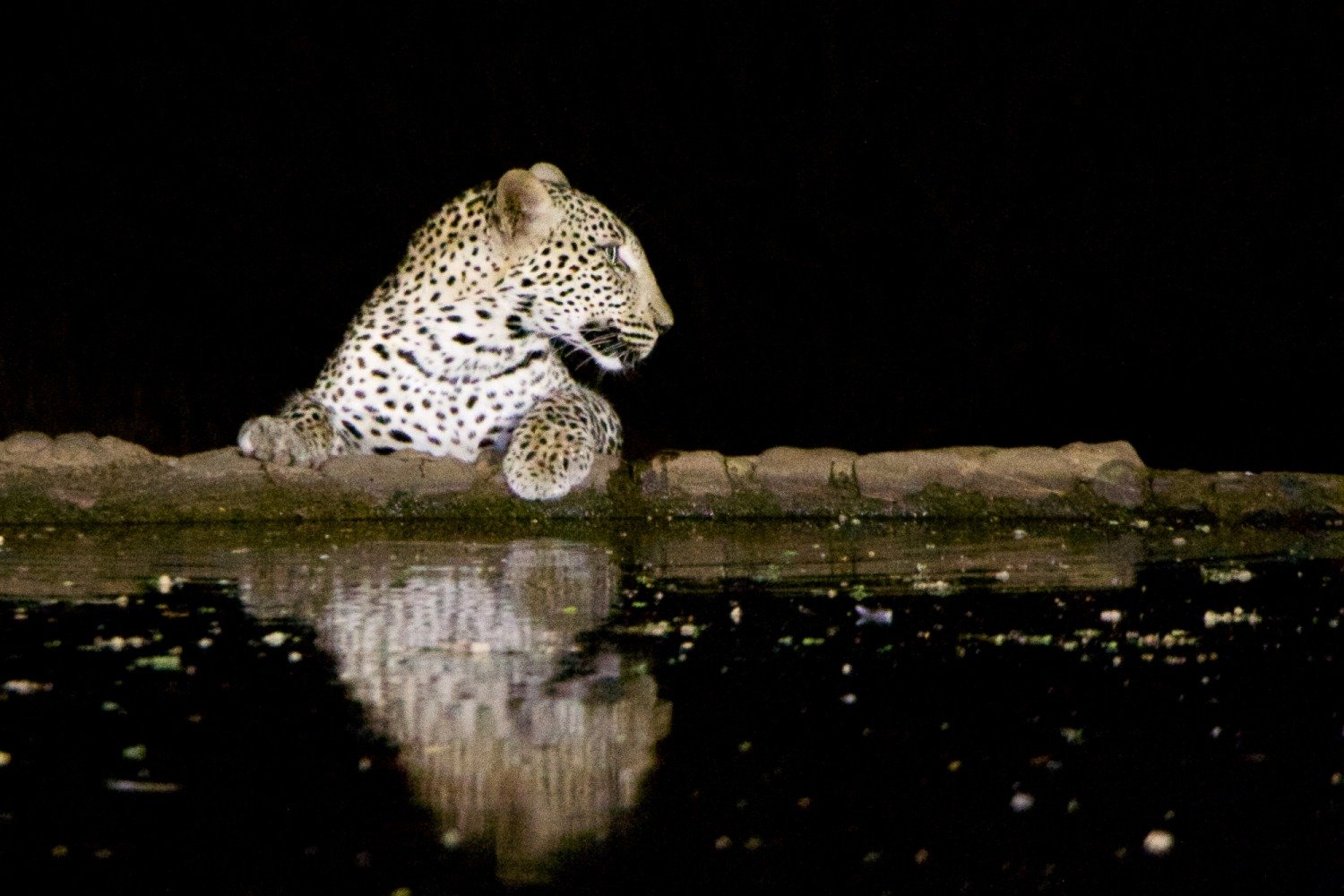 WhatsApp Image 2025-06-02 at 5.51.07 PM (1)