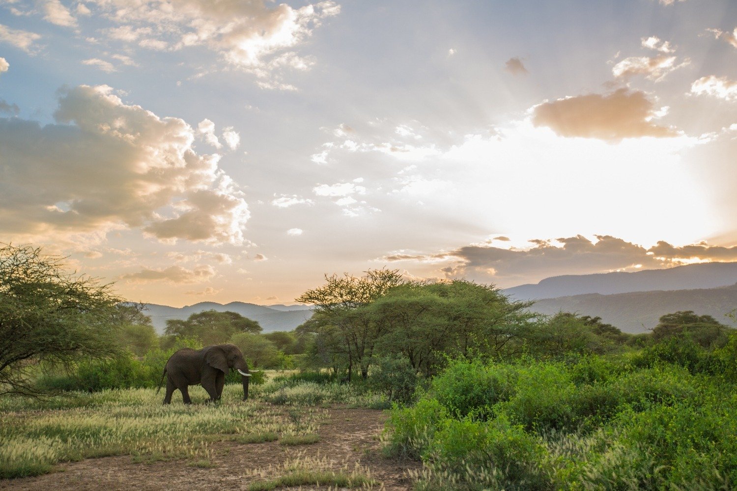 WhatsApp Image 2025-06-02 at 5.51.07 PM